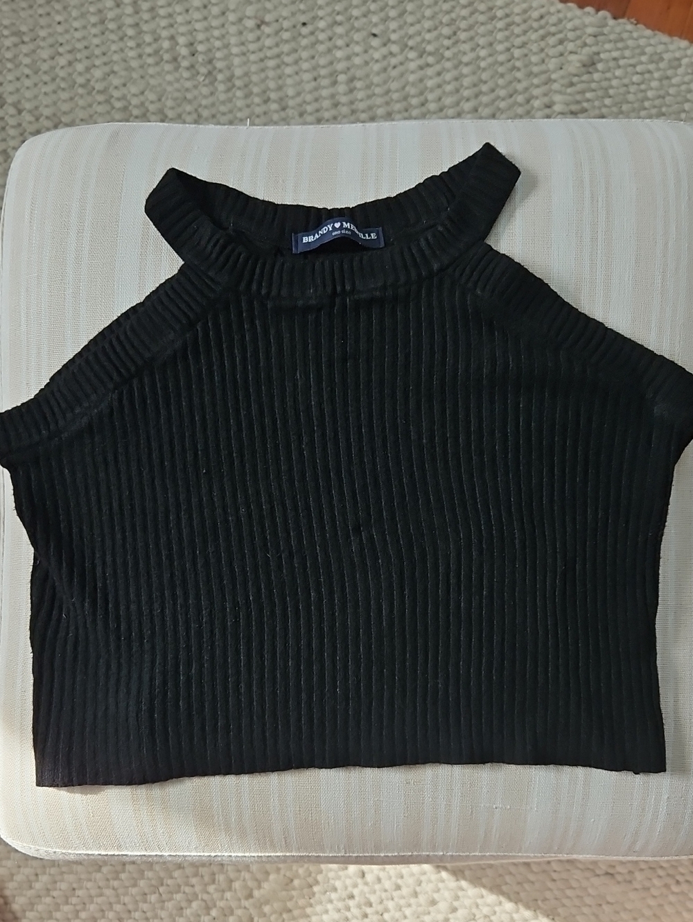 Brandy Melville Black Ribbed Mock Neck Crop Tank